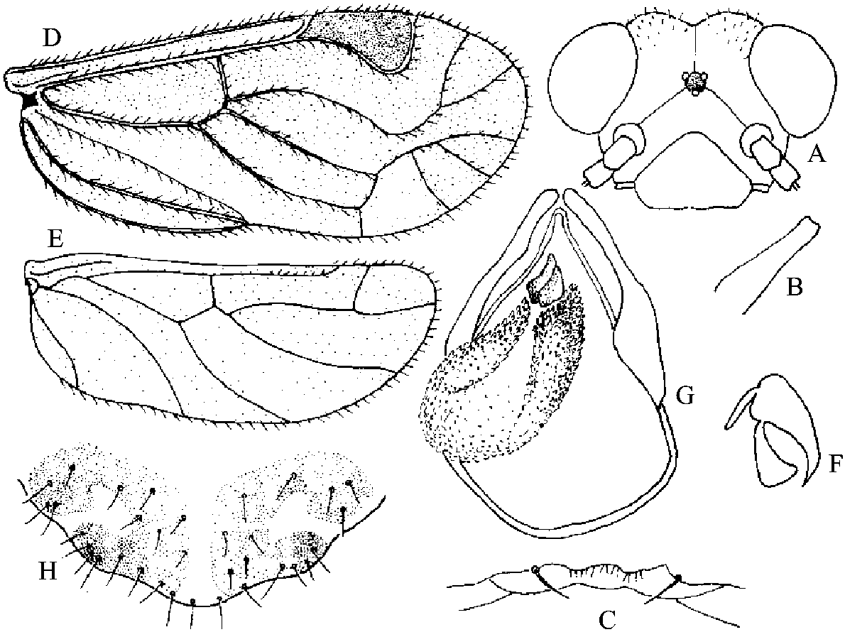 2.6 黄色等<span class=